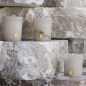 Preview: Cire Trudon, scented candle, in glass, Abd al Kader, Les Albatres, style mit Licht