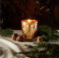 Preview: Trudon, BAYONNE, scented candle, in glass, with gift box, Noel edit 2021