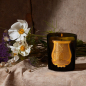 Preview: Cire Trudon Scented Candle Cyrnos, style