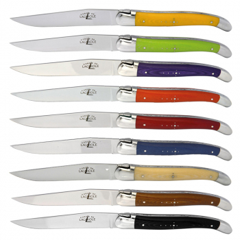 Forge de Laguiole steak knife, cimpressed fabrik dishwasher safe, set 9 colours,