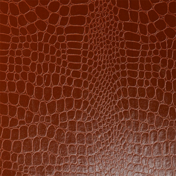 Surface Croco brown
