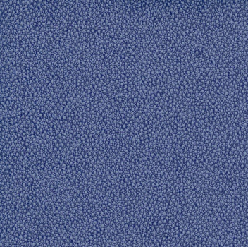 Surface Galluchat blue